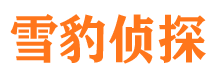 谢家集市侦探调查公司